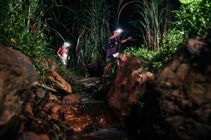 BIB: 
                            <button type="button" onclick="openModal(26412443)" class="btn btn-primary btn-sm float-right btn-popup" data-toggle="modal" data-target=".modal-high-quality">
                        <i class="fas fa-shopping-cart"></i> Add to Cart
                    </button>
                                            <button type="button" onclick="isThisMe(26412443, true)" class="btn btn-success btn-sm float-right btn-popup btn-isme hidden" data-toggle="tooltip" data-placement="bottom" title="นี่คือรูปของคุณใช่ไหม คลิกที่นี่เพื่อเอาเข้าอัลบั้ม">
                        <i class="fas fa-plus"></i> Add to album
                    </button>
                    <button type="button" onclick="isThisMe(26412443, false)" class="btn btn-warning btn-sm float-right btn-popup btn-isnotme hidden">
                        <i class="fas fa-ban"></i> Remove from album
                    </button>